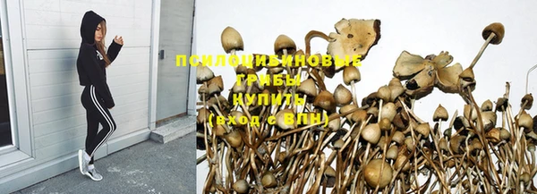 таблы Армянск
