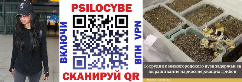 Галлюциногенные грибы ЛСД  цены наркотик  Аша 